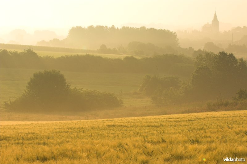Velden van Hoegaarden