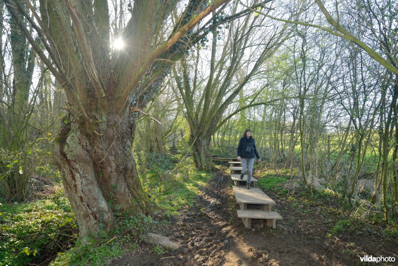 Natuurreservaat Broekelzen