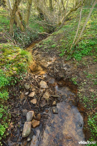 Natuurreservaat Broekelzen