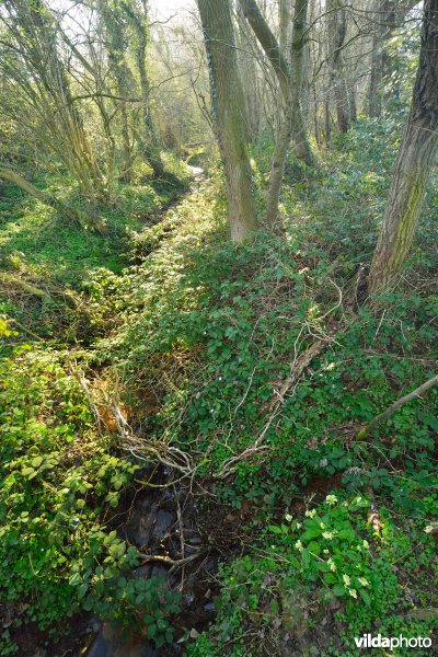 Natuurreservaat Broekelzen