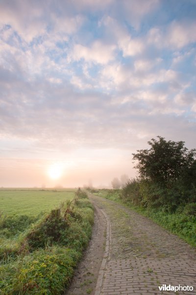 Landwegje in uiterwaarden van de IJssel