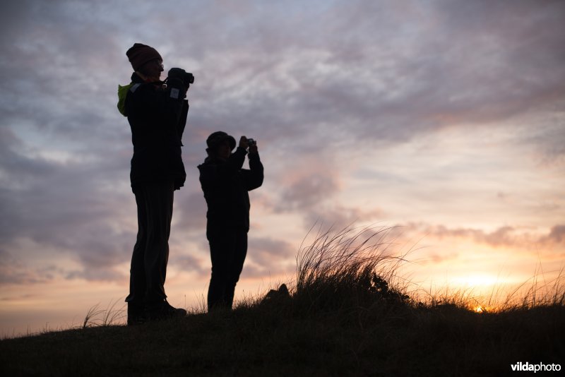 Vogels kijken op duintop