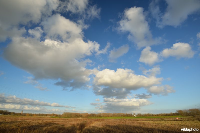 Grote Vijver (Noord Deel 1)