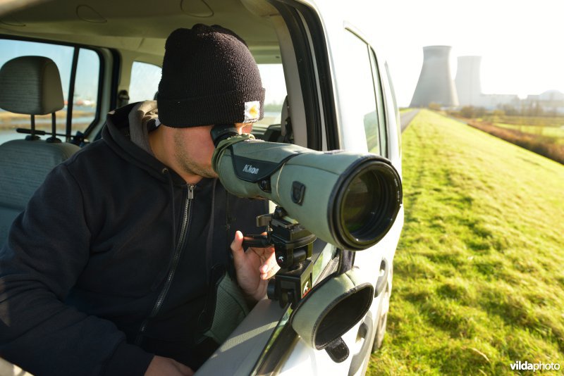 Vogels tellen in de Doelpolder