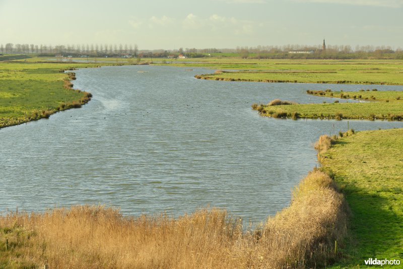 Doelpolder Noord