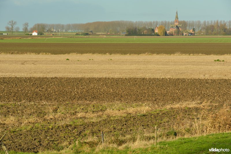 Prosperpolder