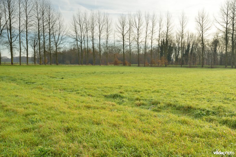 Vallei van de Grote Nete