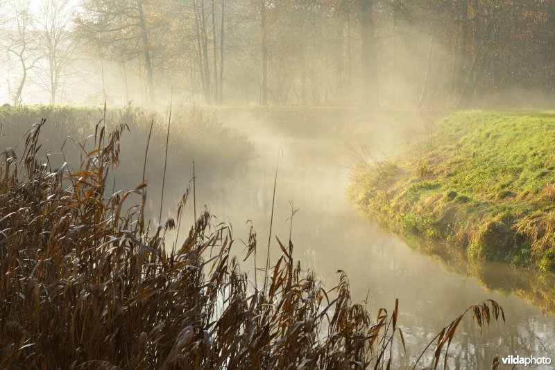 Vallei van de Grote Nete