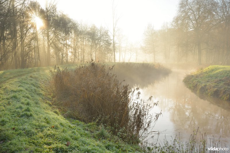 Vallei van de Grote Nete