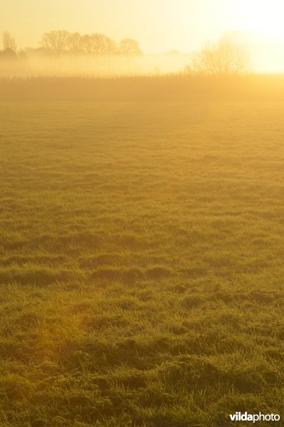 Vallei van de Grote Nete