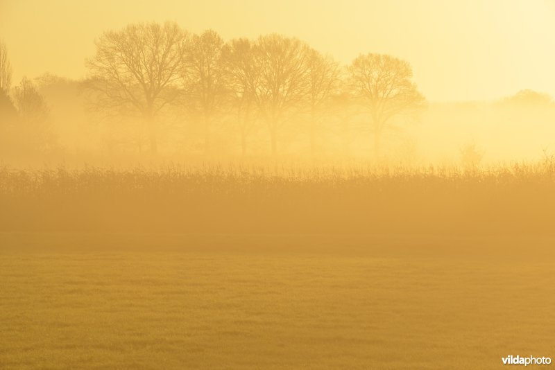 Vallei van de Grote Nete