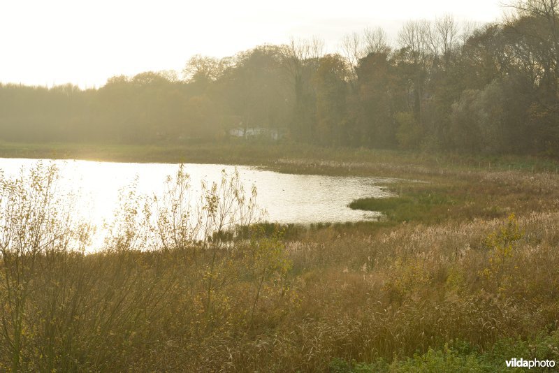 Schiphoekpolder