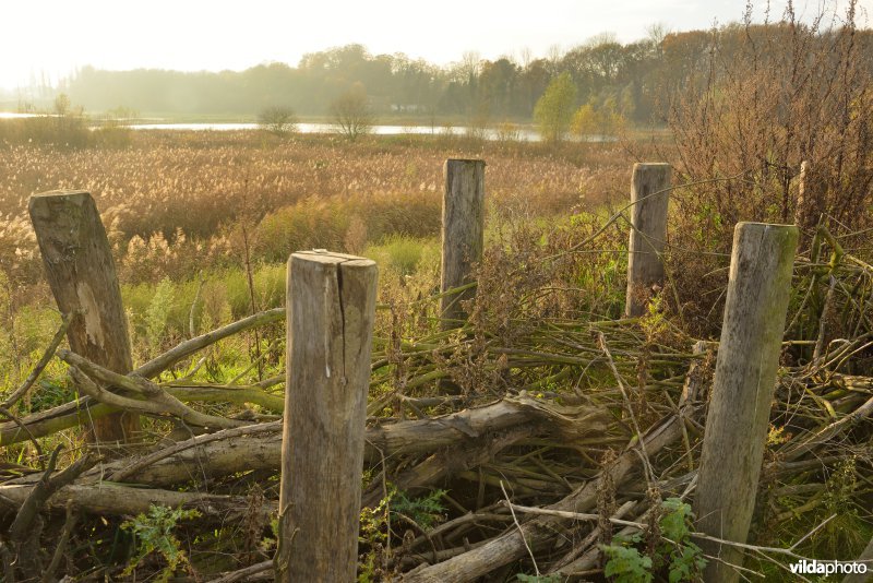 Schiphoekpolder