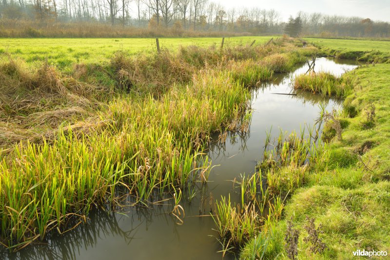 KBR polder