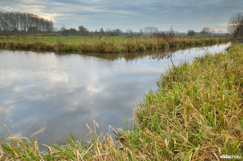 Kalkense meersen: Scherenmeersen