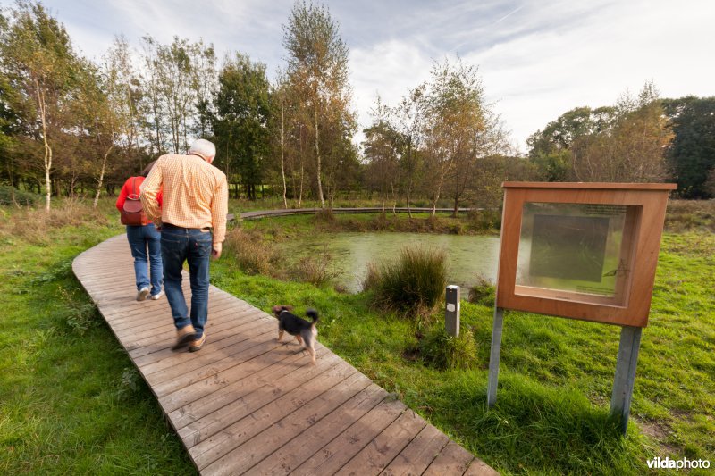 Wandelaars op een plankenpad