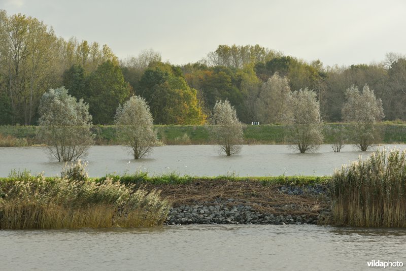 Schelde bij springtij en overstroomde Paardeweide