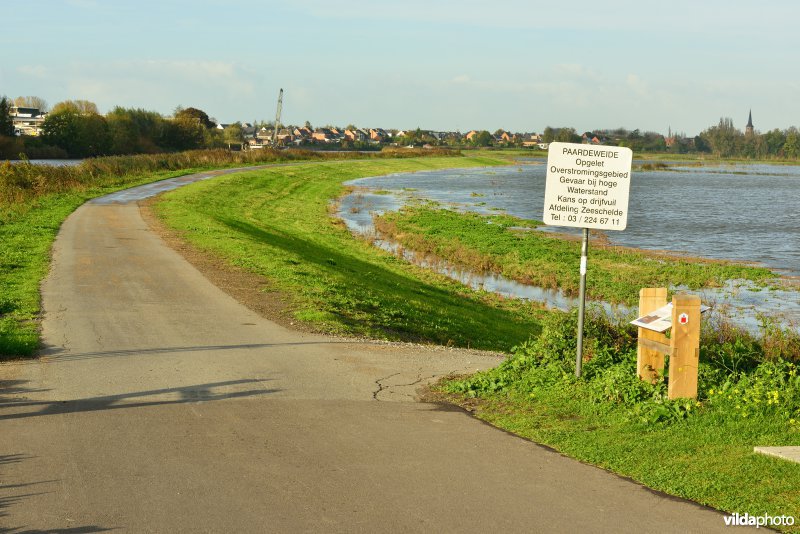 Overstroomde Paardeweide