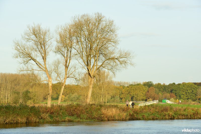 Overstroomde Paardeweide