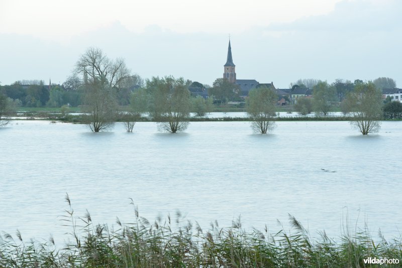 Overstroomde Paardeweide