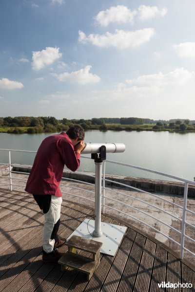 Vogels kijken vanop het dak van het Vloot