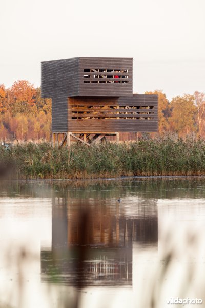 Vogelkijktoren in het Vinne