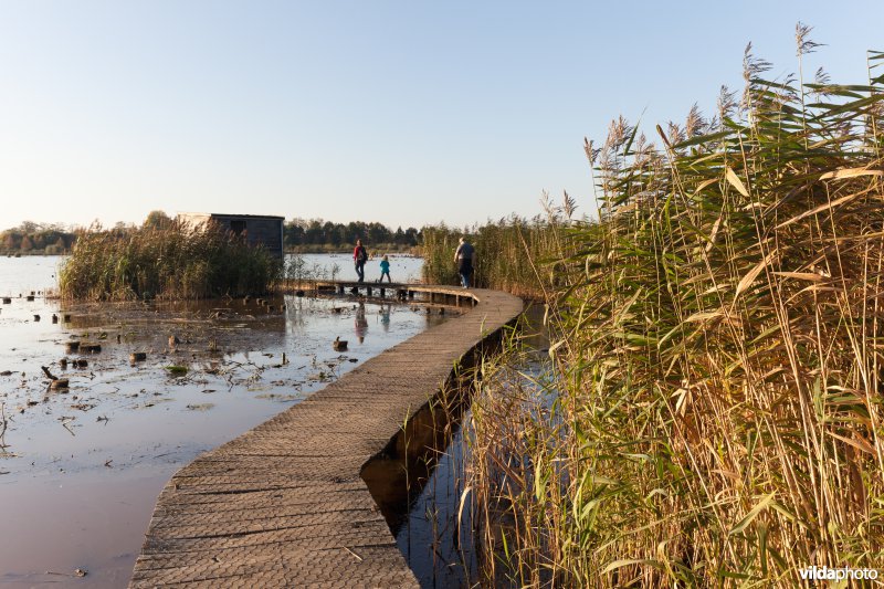 Plankenpad naar een vogelkijkhut