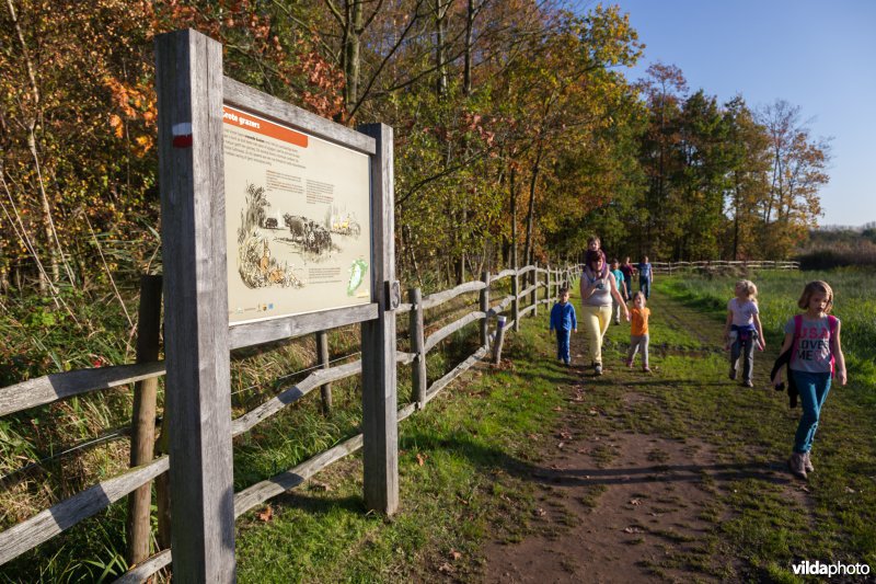 Wandelaars aan een infobord