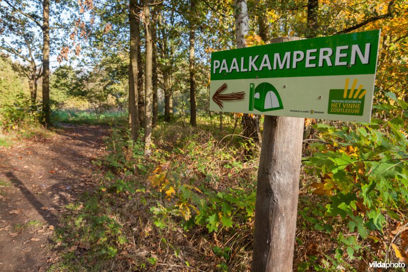 Paalkamperen