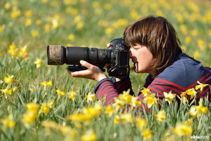 Narcissen fotograferen