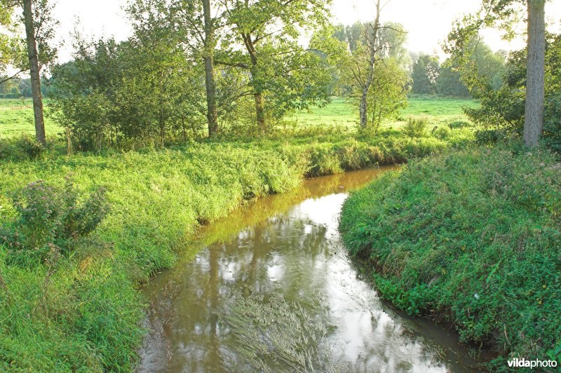 Zwarte beek