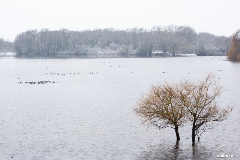 Winters Schulensmeer