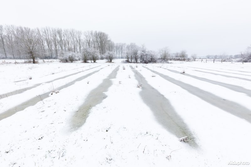 Ondergesneeuwd reliëfrijk grasland