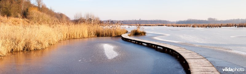 Kronkelend plankenpad