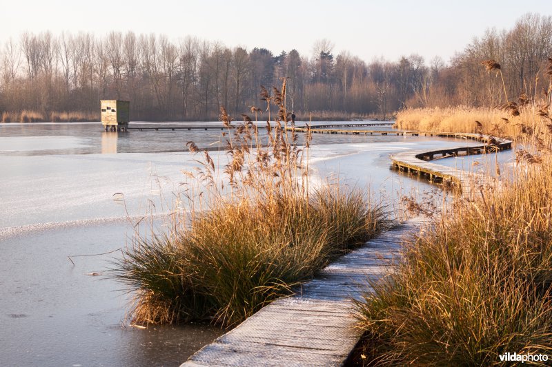 Kronkelend plankenpad