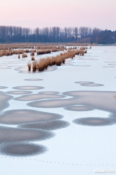Bevroren meer