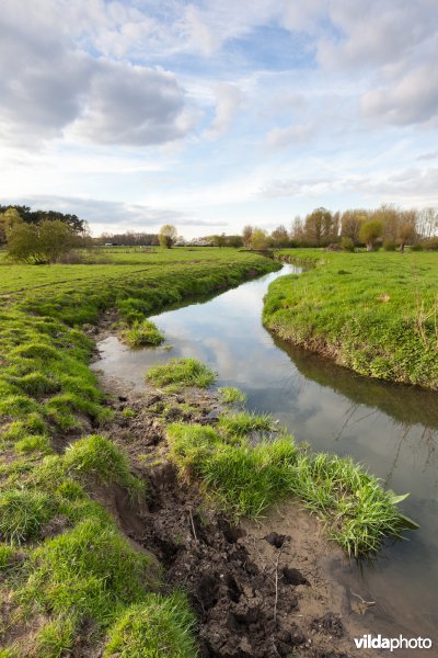 Beek in Pikhakendonk