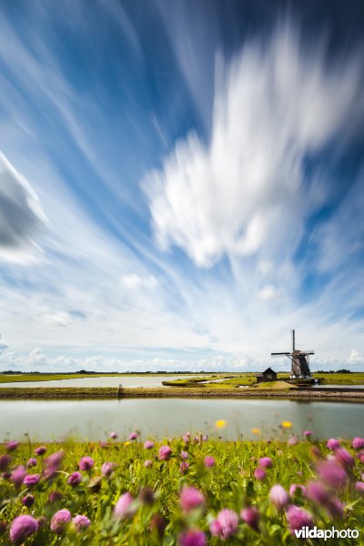 Molen Het Noorden