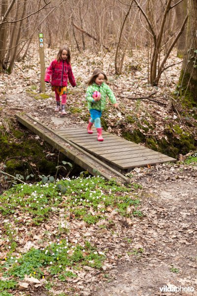 Over een bruggetje lopen