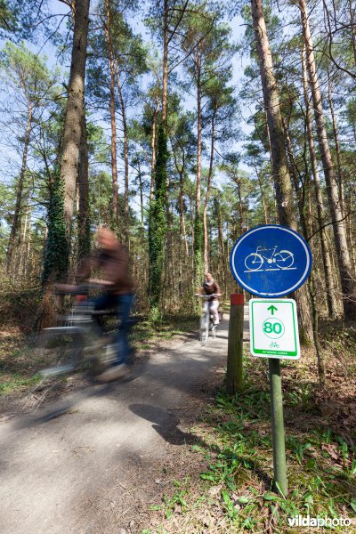 Fietsen in de Antwerpse Kempen