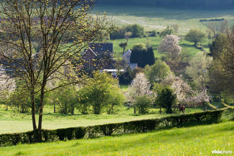 Kleinschalig landschap