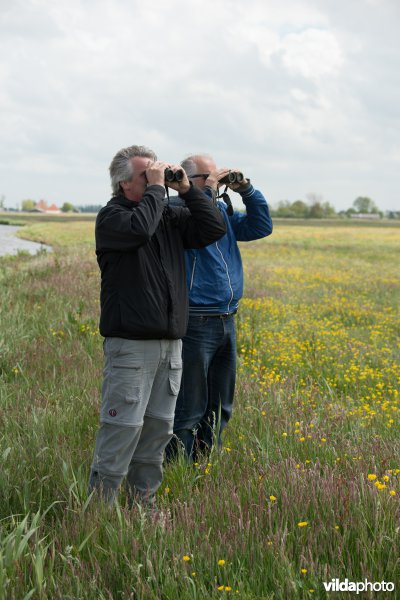 Vogels kijken 