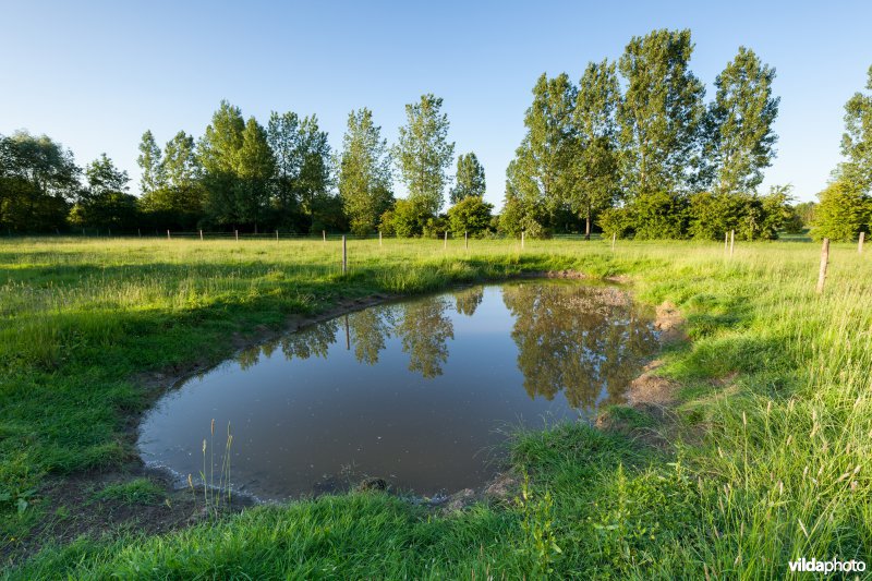 Poel voor de Getedraak