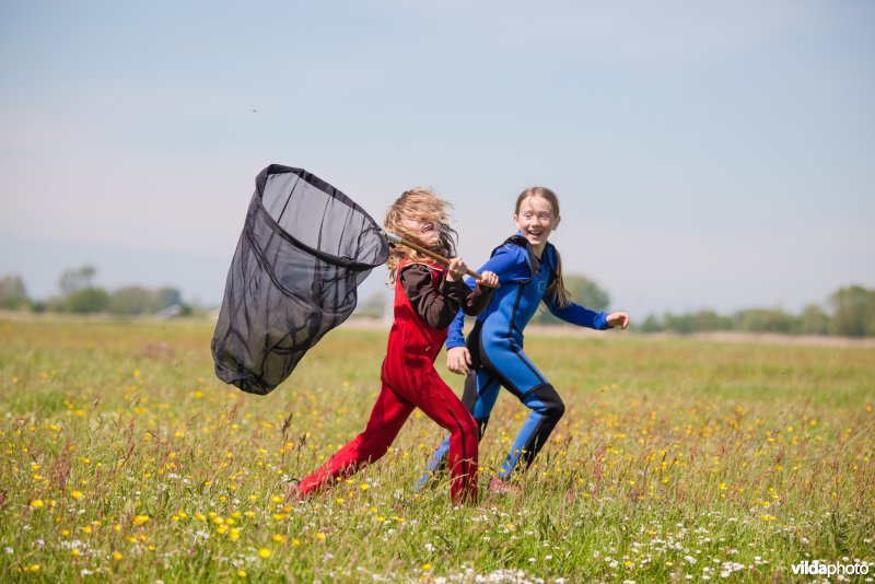 Kinderen spelen met vlindernet