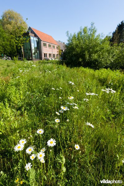 Bezoekerscentrum Grote Netewoud