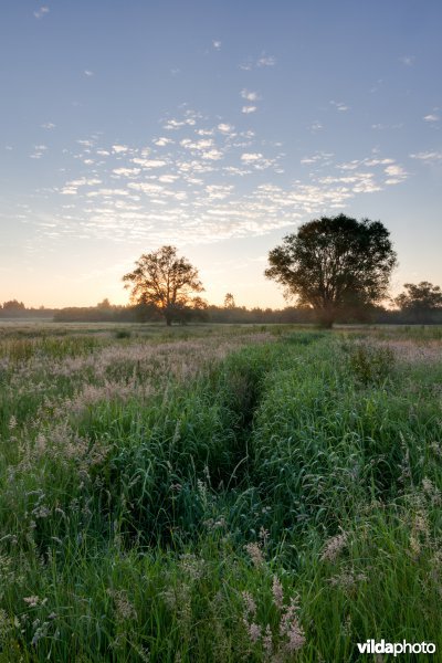 Grachtje