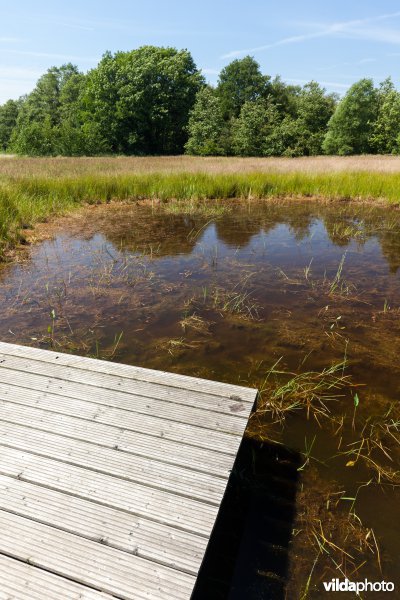 Poel met kijkplatform