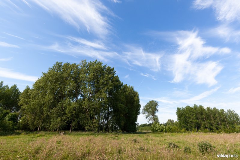 Kleinschalig landbouwlandschap