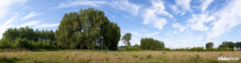 Kleinschalig landbouwlandschap