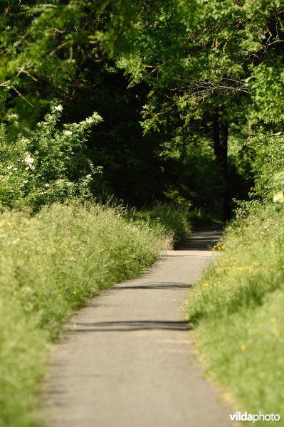 Mijnwerkerspad aan de Zwalm